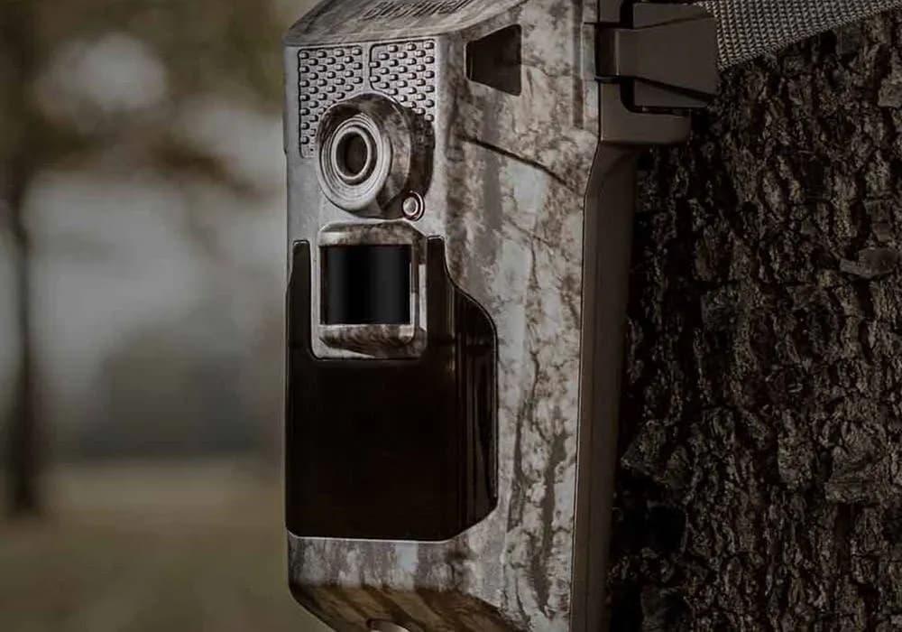 Trail Cameras